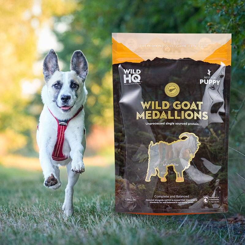 컬러풀한 친환경 디지털 프린팅 - 로우 파우치 커피백